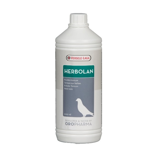 Bebida hierbas VERSELE-LAGA