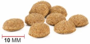 Croqueta redonda monocolor de INTERNUTRI TASTY DOG ACTIVE, con especificación de 10 mm de diámetro