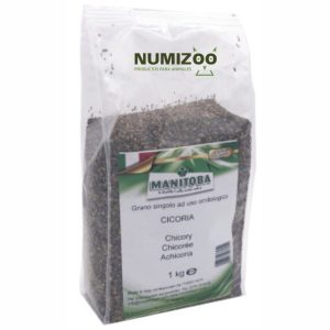 Achicoria Manitoba – Semilla digestiva natural para aves ornamentales