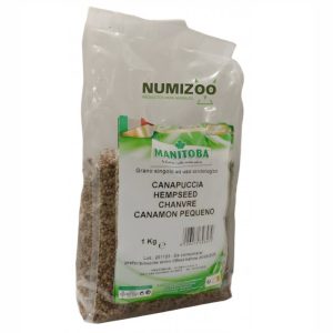 Cañamón Hempseed Manitoba – Semilla natural para canarios y aves