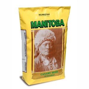 Alpiste Canary Seed One Blue Bead Manitoba - Alpiste para Canarios