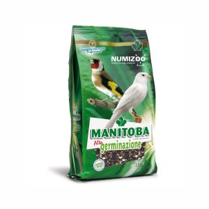 Semillas Alta Germinación Manitoba para Canarios