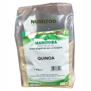 Quinoa Manitoba – Semilla natural para canarios y aves ornamentales