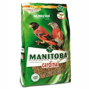 Cardinal Manitoba mezcla de semillas para cardenalitos
